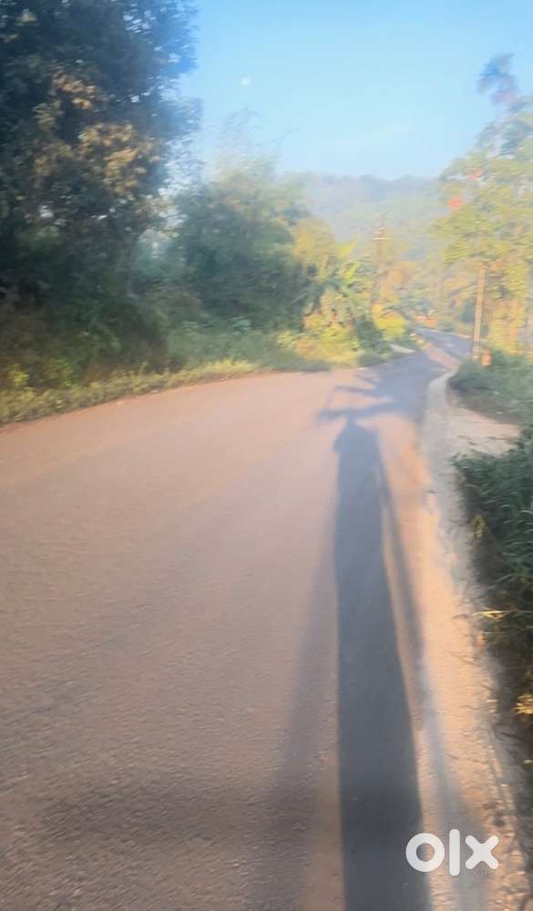 Land for sale killing the best you can get