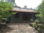 House near chempazhanty 12 thousand