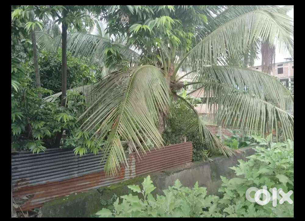 Land For (Lease/Sell) Nearby Kamakhya junction