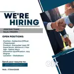 Seeking Collection Manager