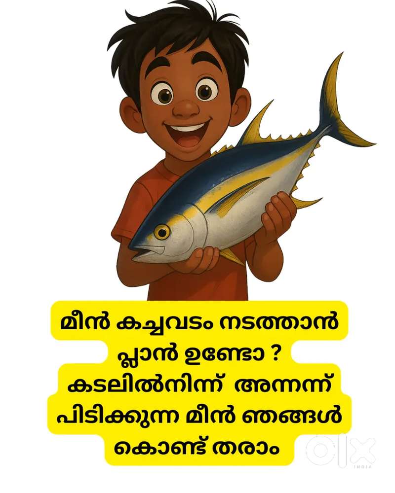 Fresh Fish Wholesale