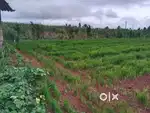 Sale property