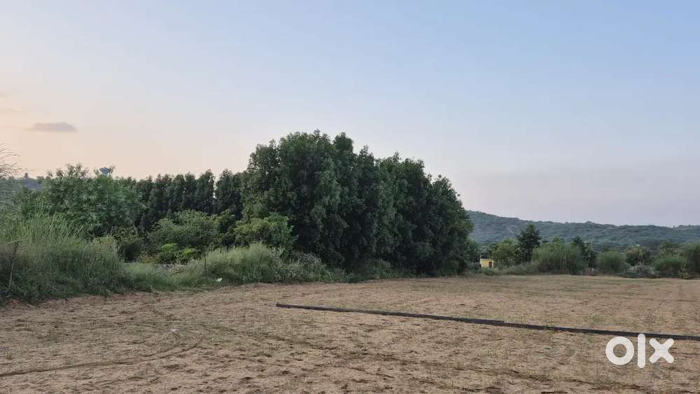 1200Gaj farm land for sale near sohna , mumbai highway se 3km drive