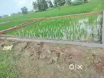 Kanchanpur se 1 km purab BRD medical College road