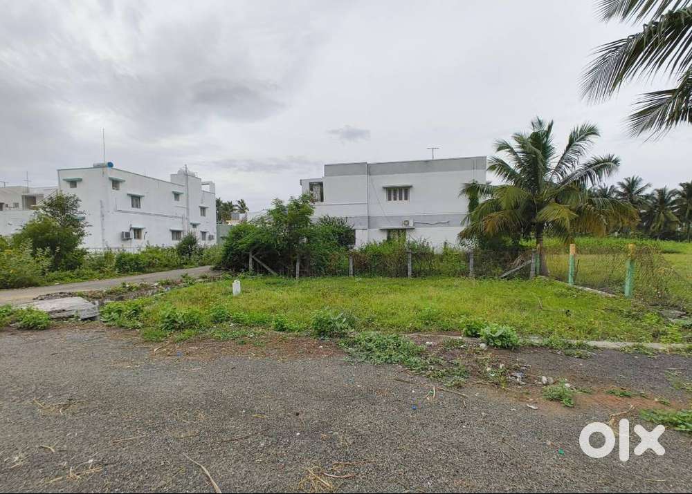 North East Corner Plot for Sale - ChinnaTirupathi