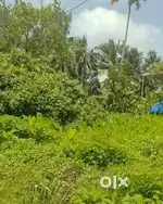 5 cents Land for sale at Varapuzha