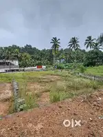 House plot for sale Chenkottukonam Kattayikonam