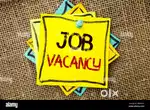 Freshers and Experience wanted