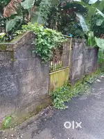 Plot for house  ; Price: 20 lakh / cent