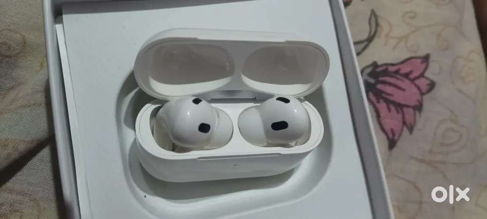 The iPods apple brand original