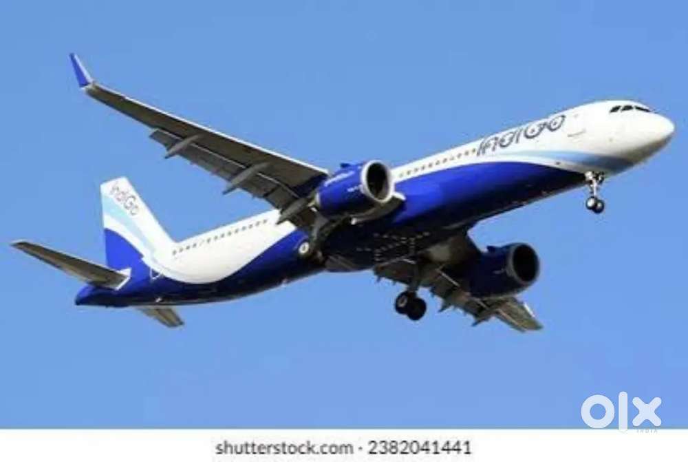 Urgent requirements for ticket counter job in Indigo airline dehradun