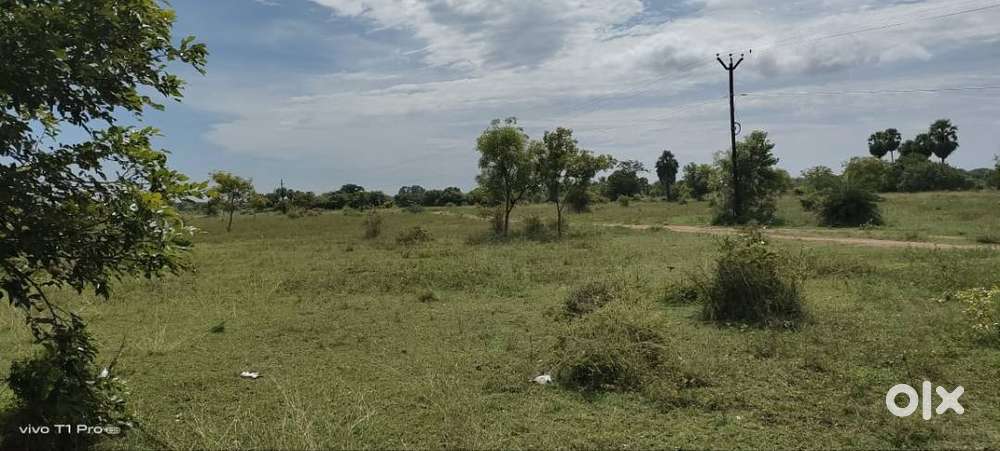 Empty plot for sale 2Km distance from Kutteripattu Junction