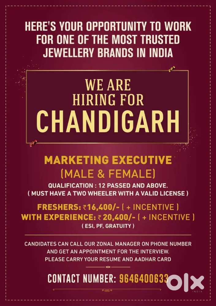 JOB IN KALYAN JEWELLERS INDIA LTD