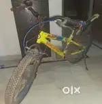 Cycle for 5 ~ 11 Year age