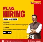 Junior assistant