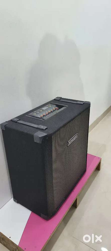 Stranger PM 192 speaker