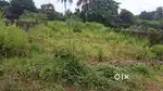 Derebil nearby 4.7 cents land for sale per cents 11lkx