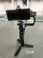 Gembal moza