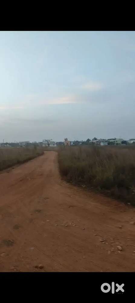 NH TK 200 METER DISTANCE Pitapali khordha bhubaneswar