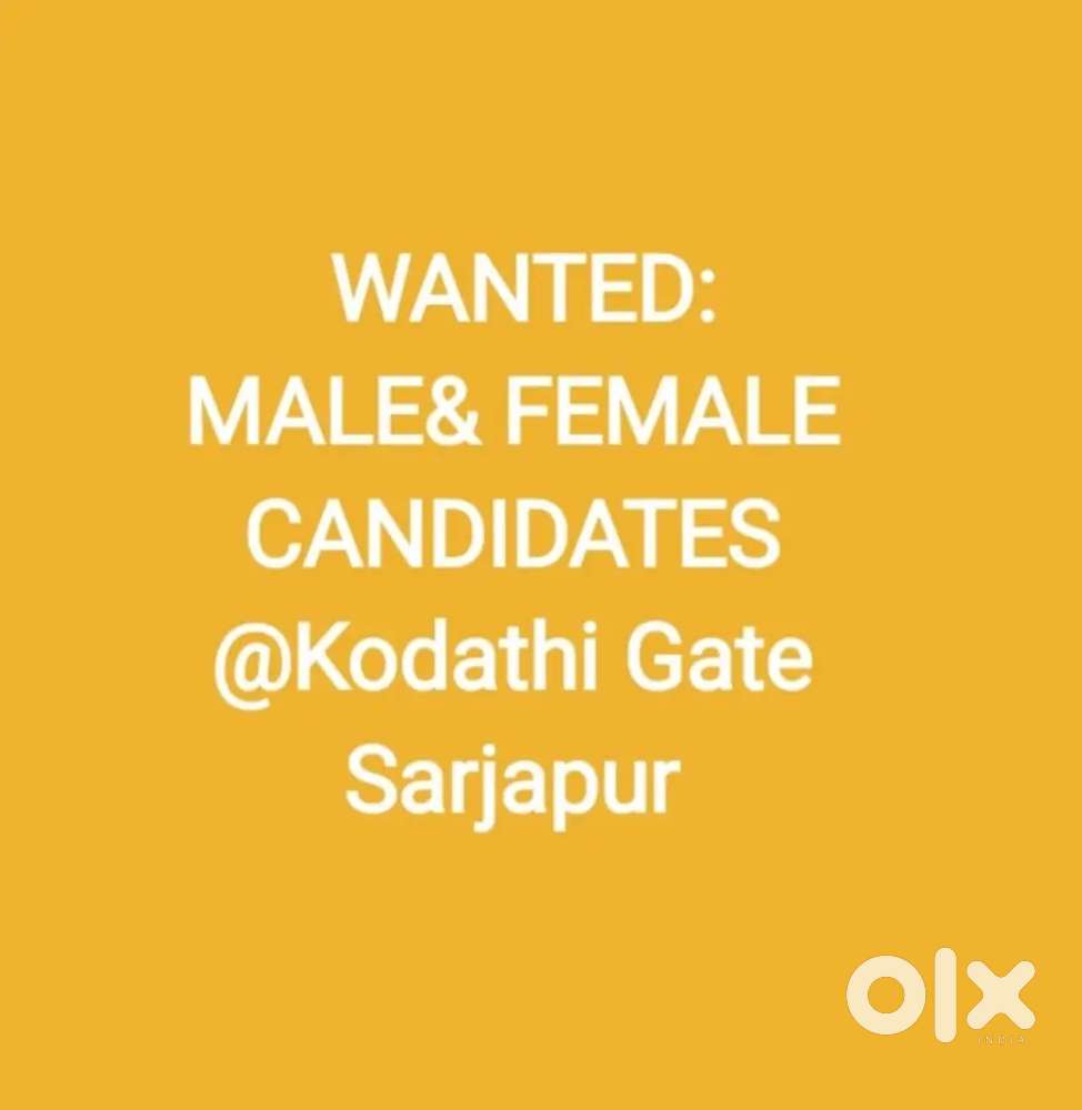 Wanted: Male & Female Candidates
