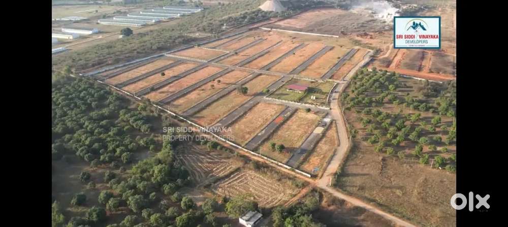 Plote ready to sell in shadh nagar