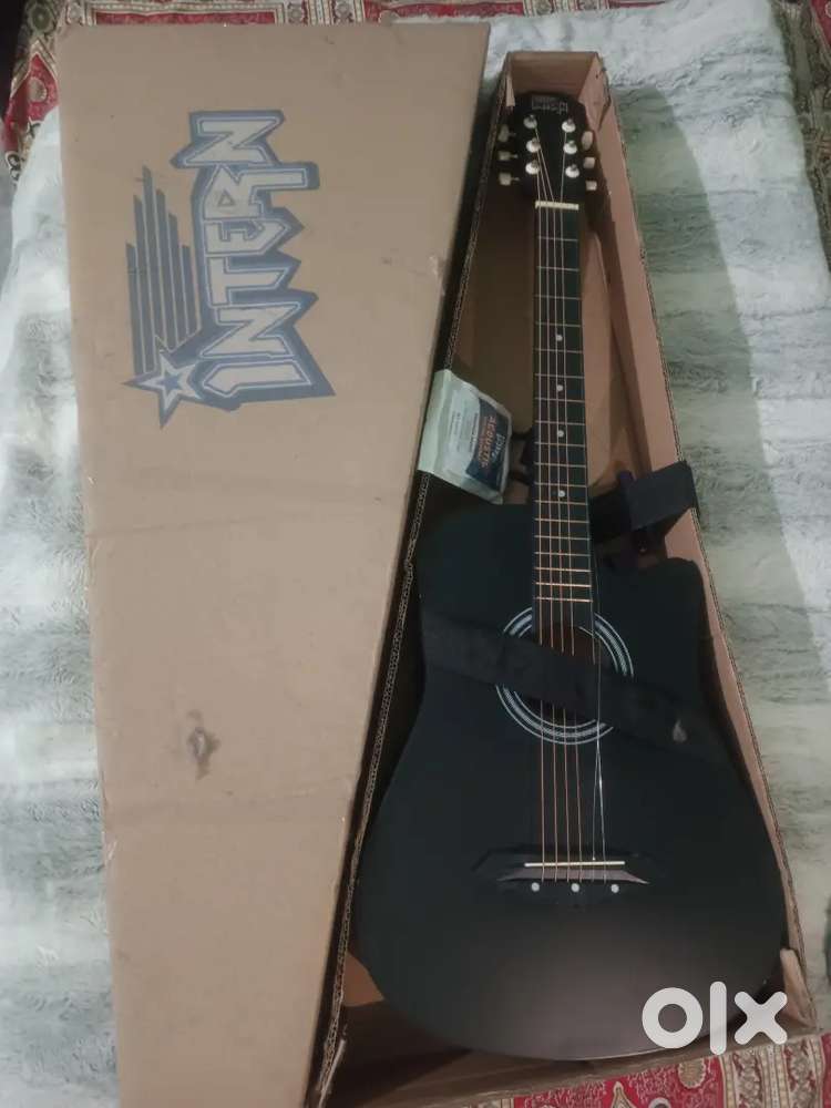 Guiter music instrument