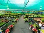 3 Acre of land for rent suitable for Nursery, agri business