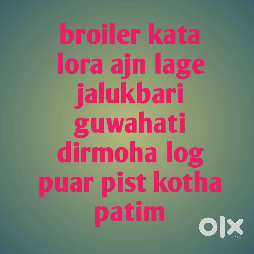 মাংসৰ দোকানৰ বাবে ল'ৰাৰ প্ৰয়োজন