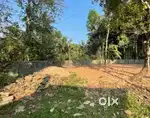 Square Plot 12 Cent for Sale near Pravinkoodu