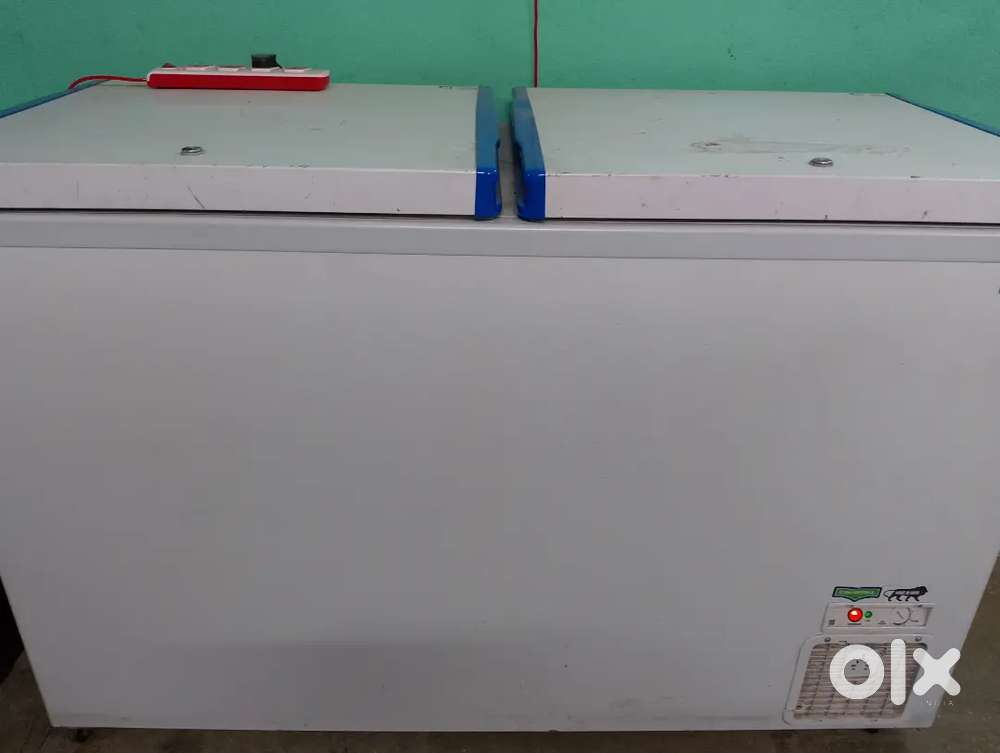 Double door Frigoglass Fridge