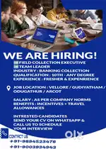 BANKING COLLECTION JOB