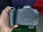R6 mark ii with rf 100 500MM