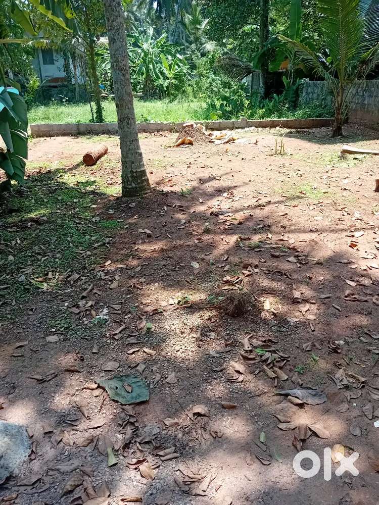 2.80 Cent Plot For Sale Near Poonkulam Junction