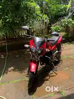 Pulsar 2011