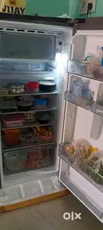 Hair Refrigerator for sale with Best price