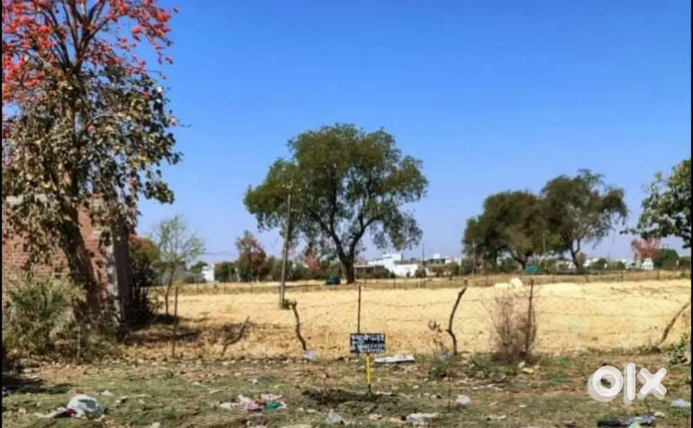 plot in green environment near to yadav petrol pump