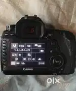 CANON EOS 5D Mark 4 and 50m 1.8