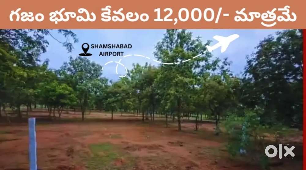 121 SQYDS MANGO ORCHARD FARM 15LAKHS ONLY