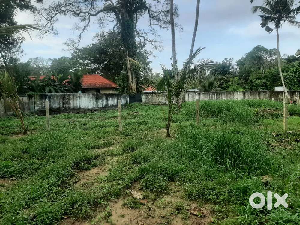 20 cents plot for sale at vaikom