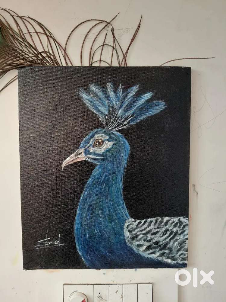A touch of Peacock elegance
