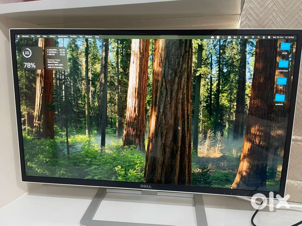 Dell 31.5 inch