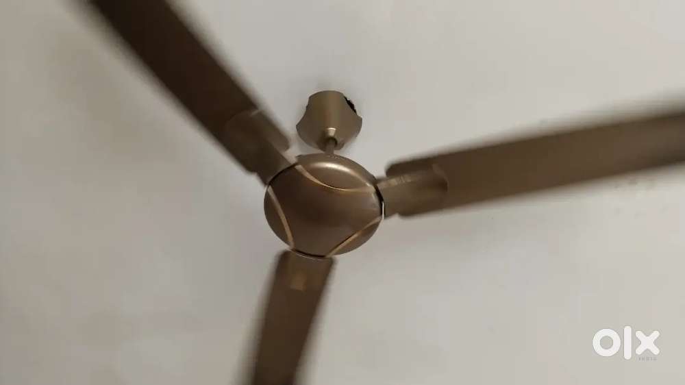 Ceiling Fans and Wall fans