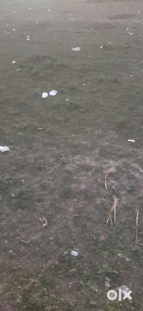 2 Bigha Chamraua Railway Crosing ke pass Rampur kemri Highway