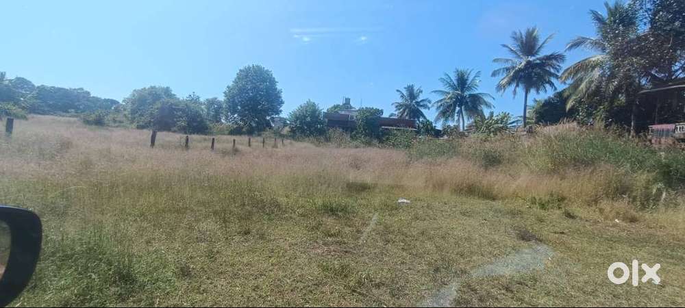 25cents land 4.50lac per cents Indira nagar budnar paniyadi road