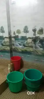 Flate for rent