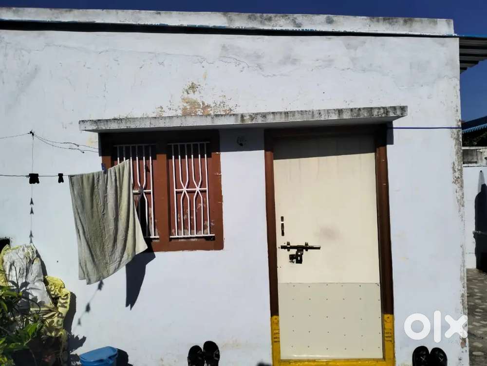 Single room for bachelor's