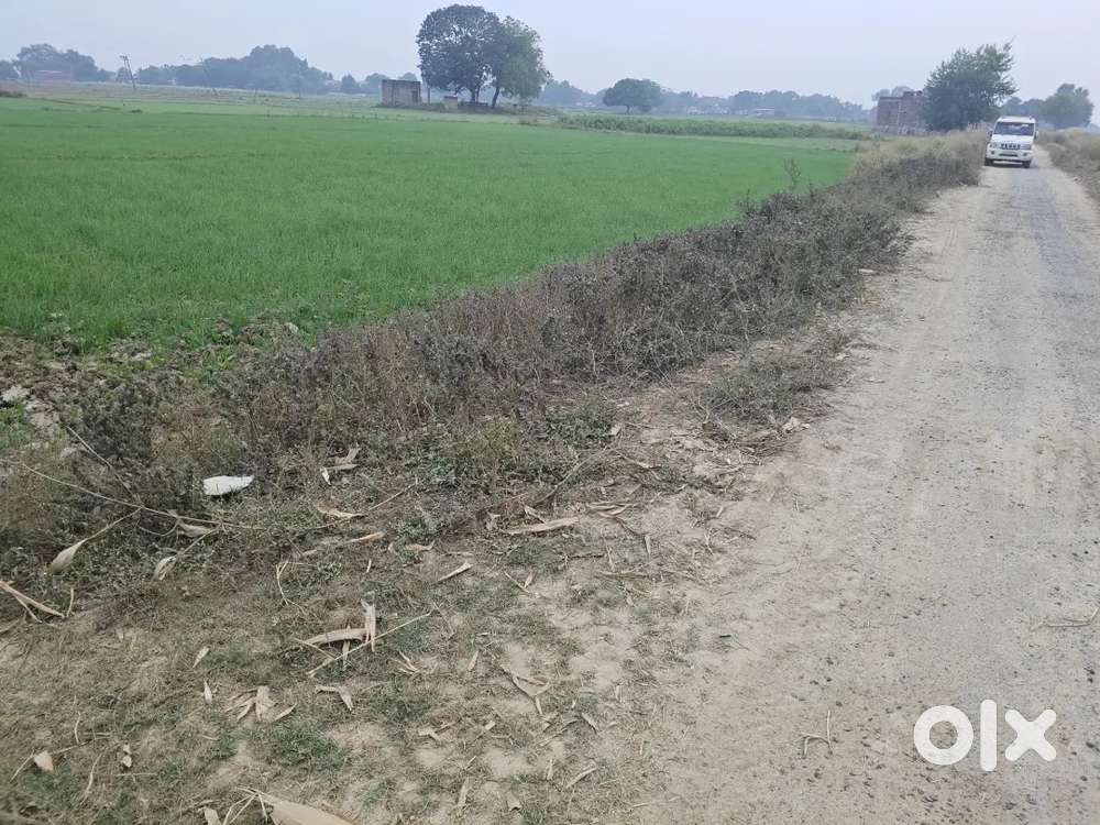 Mirzapur Tigoda me 20 biswa ka plot main road ke pas registry ready