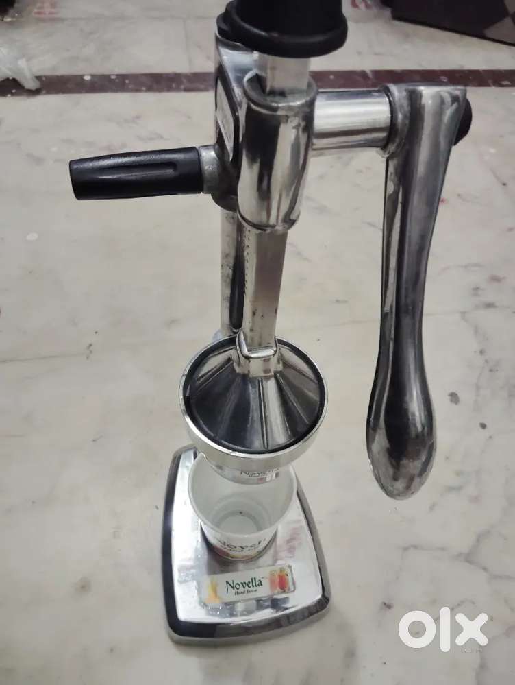 Fruit juicer