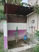 Very pess full inviroment