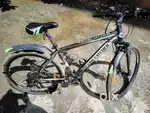 Bicycle for sale